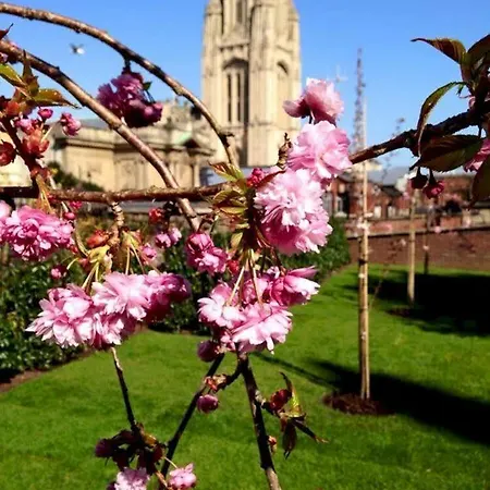 Berkeley 5*